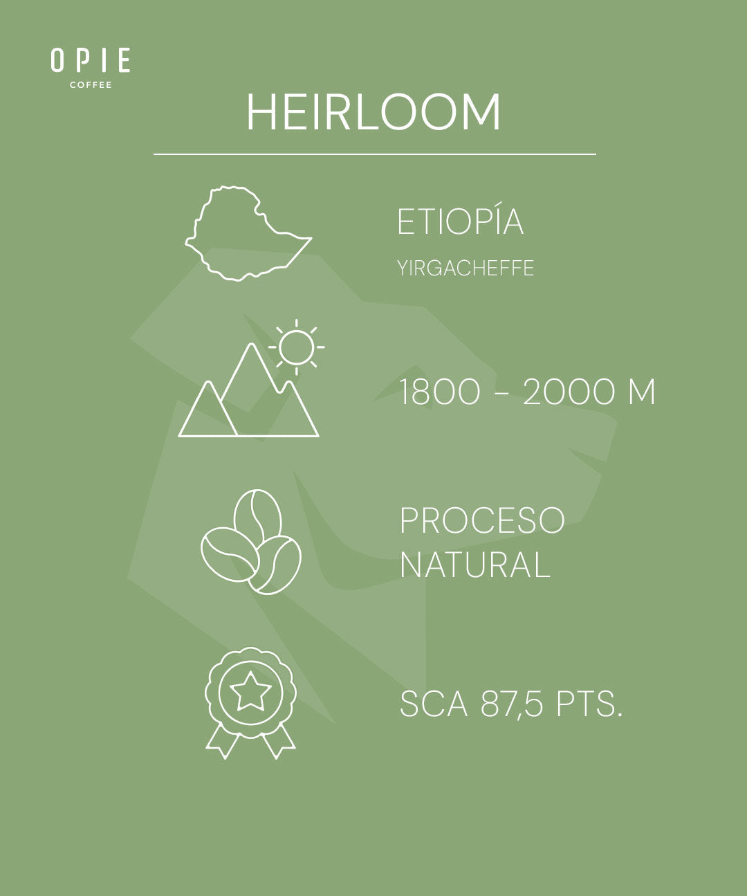 Opie Coffe: Etiopía - Heirloom