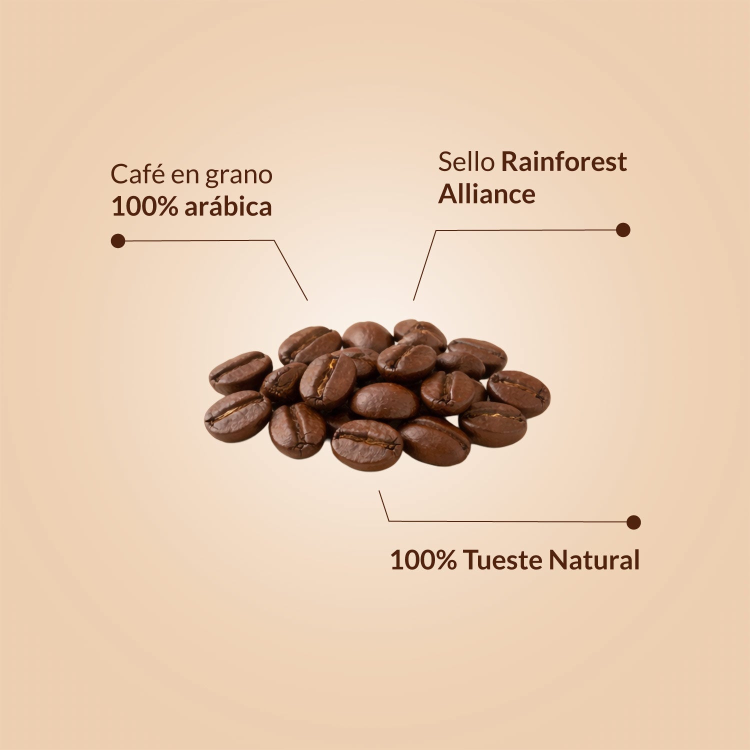 Café Blend Orgánico Natural Eco Beans Rainforest Alliance 1 kg grano