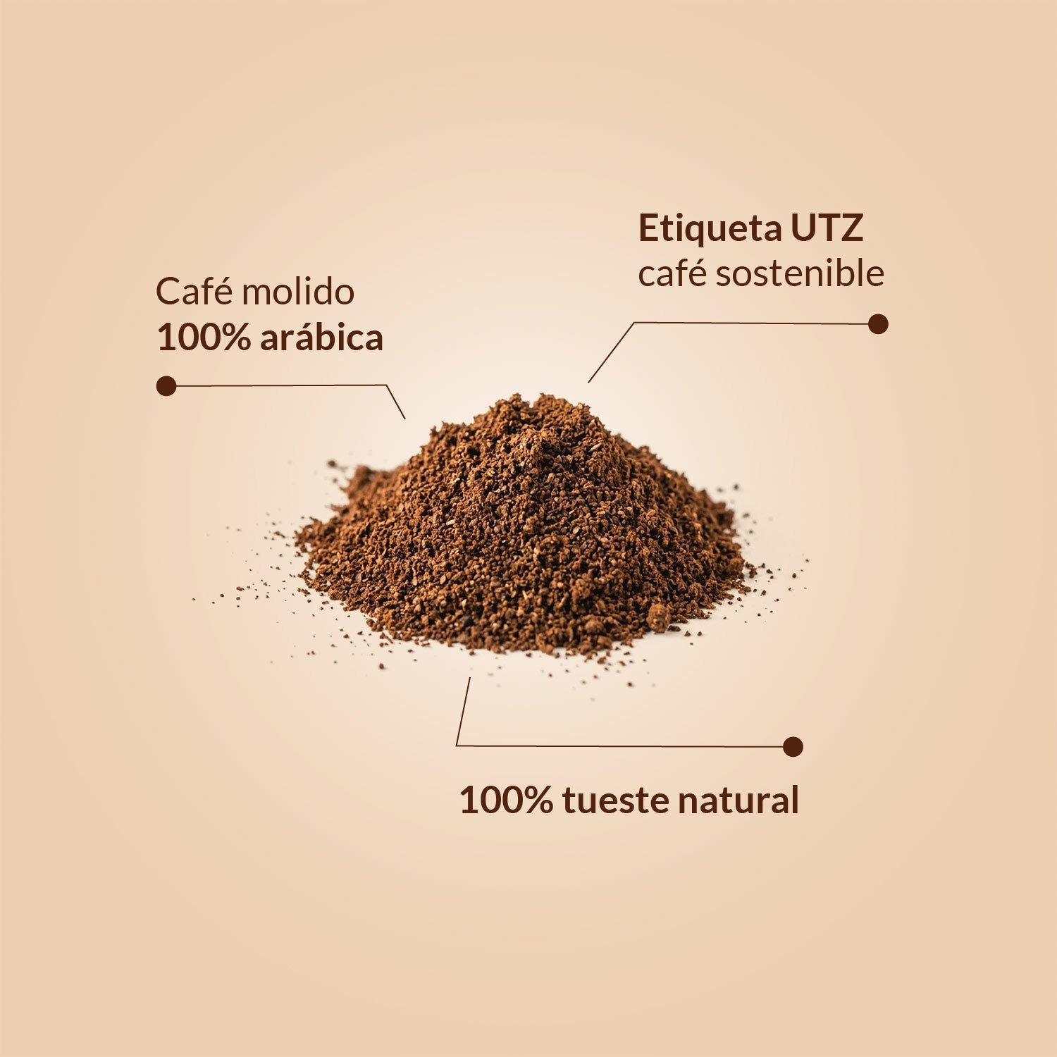 Café Blend Orgánico Natural Eco Beans Rainforest Alliance 1 kg molido
