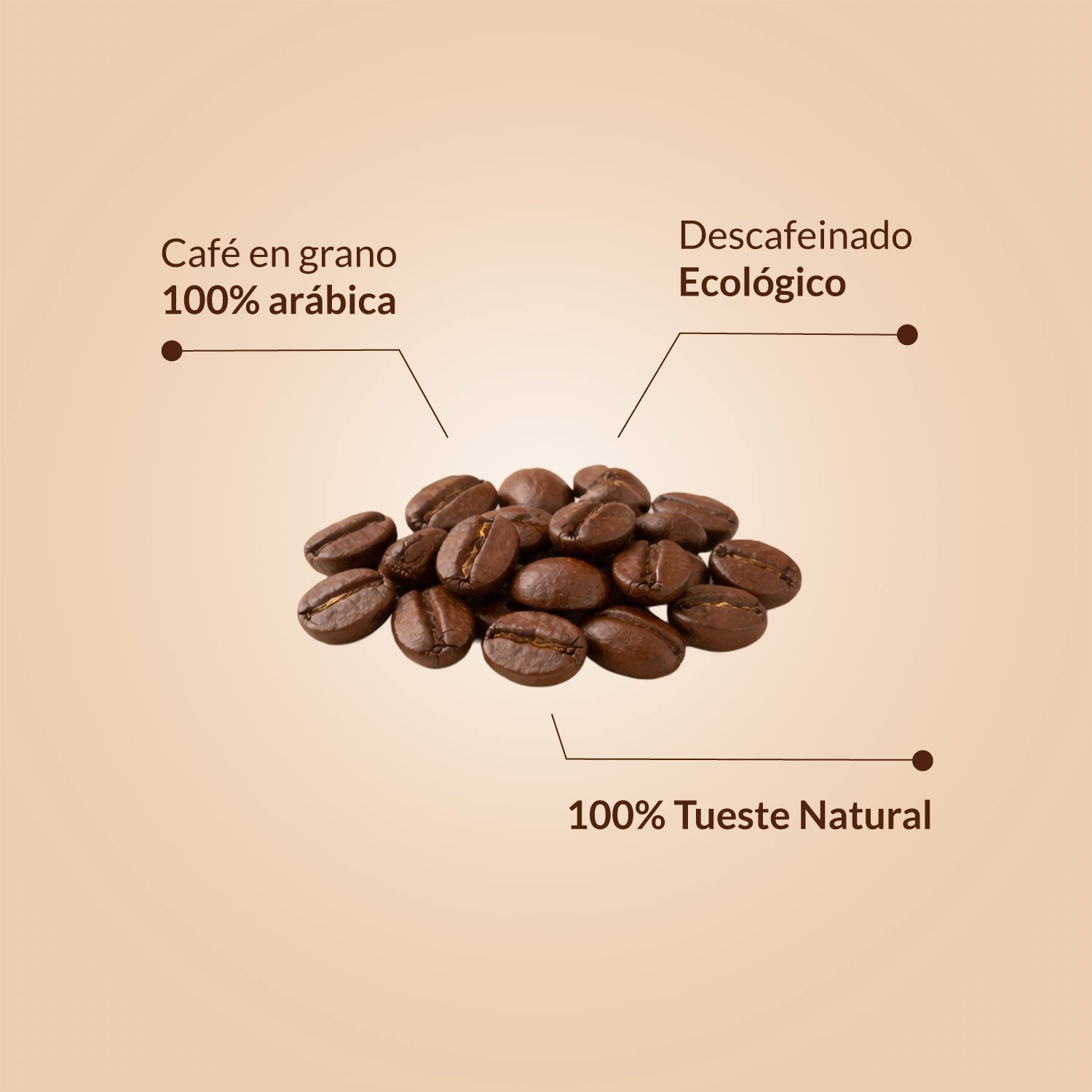Café Ecológico Descafeinado Tueste Natural 100% Arábica 500 g