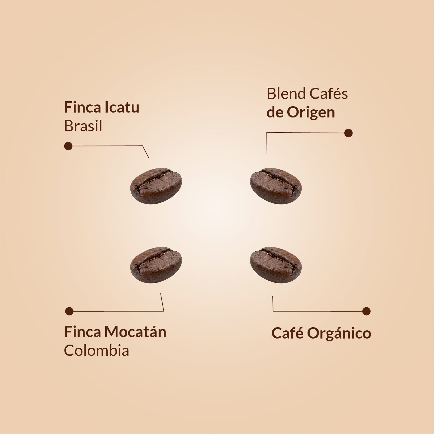 Café En Grano Natural Varios Orígenes de Tueste Natural - Pack 4 Latas 250 gr