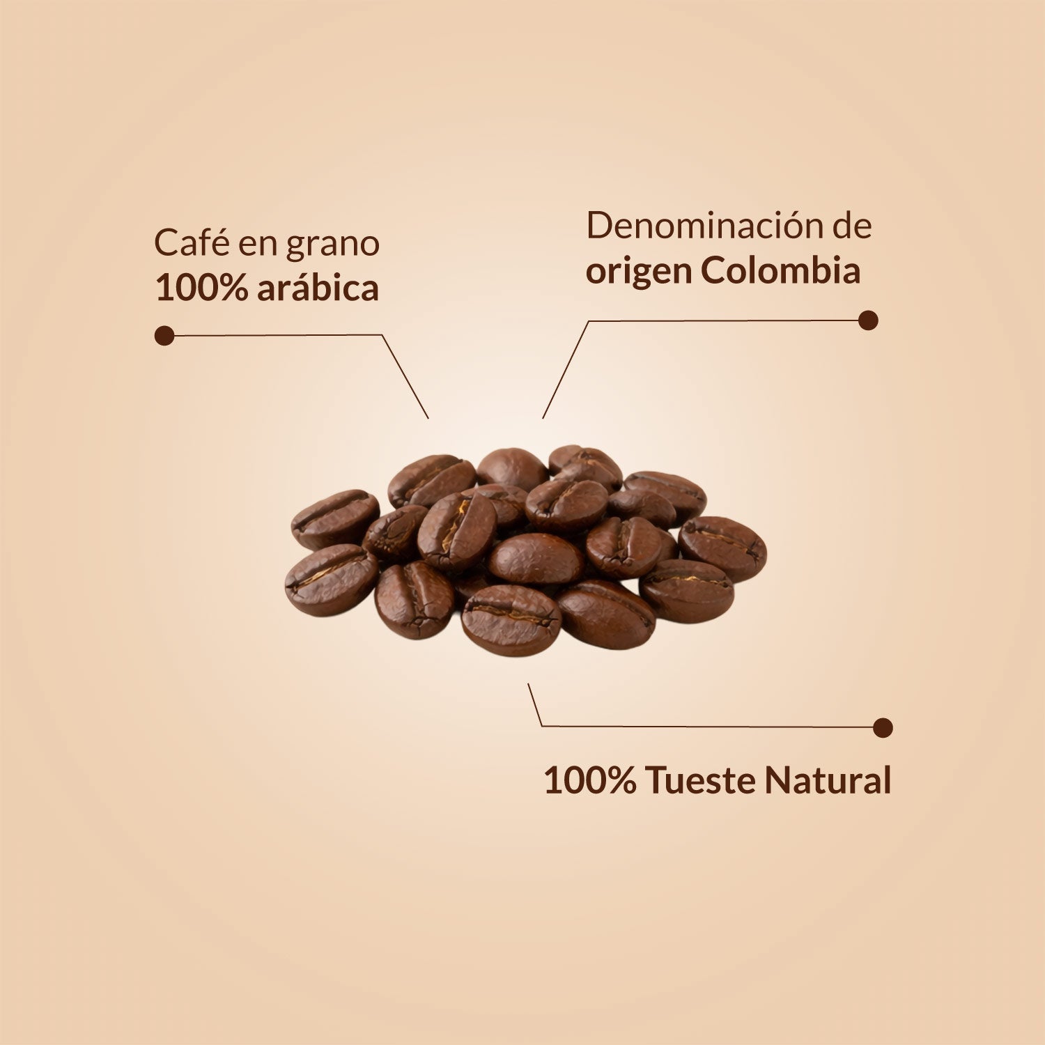 Imagen de diapositiva