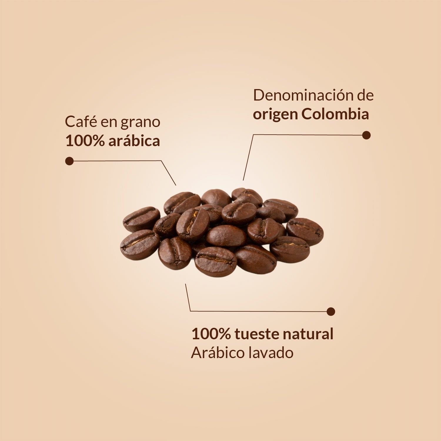 Imagen de diapositiva