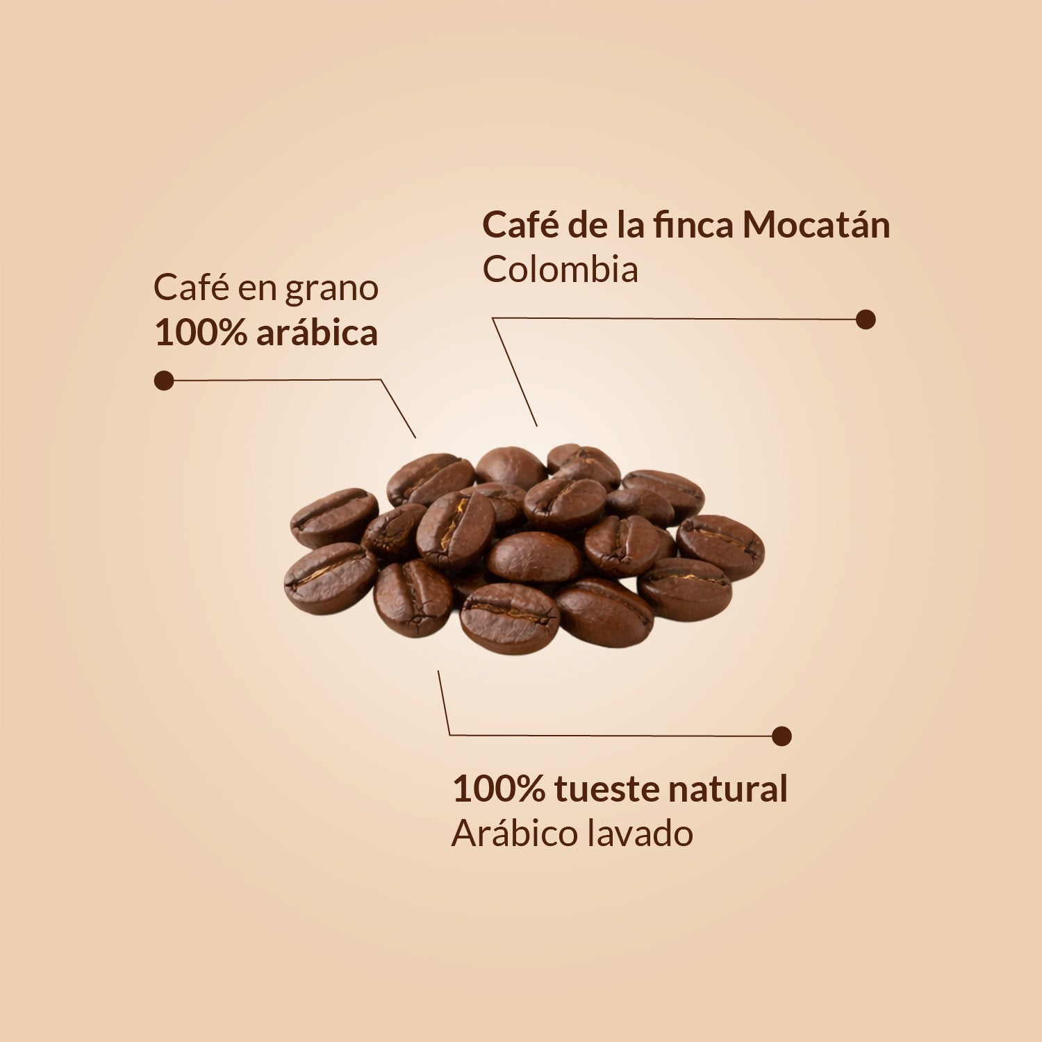 Imagen de diapositiva