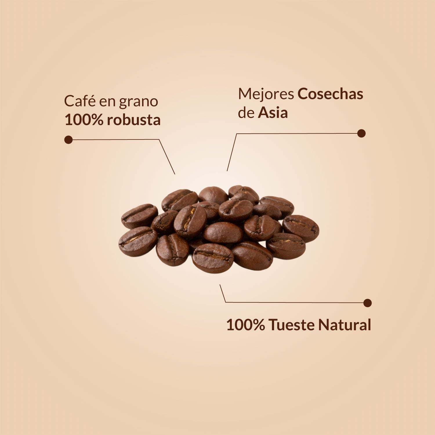 Imagen de diapositiva
