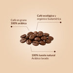 Imagen de diapositiva