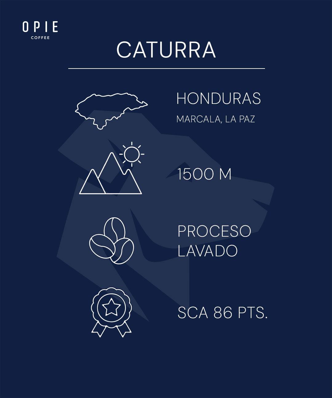 Opie Coffee: Honduras - Caturra