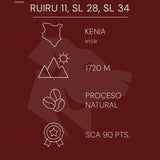 Opie Coffee: Kenia - Ruiru