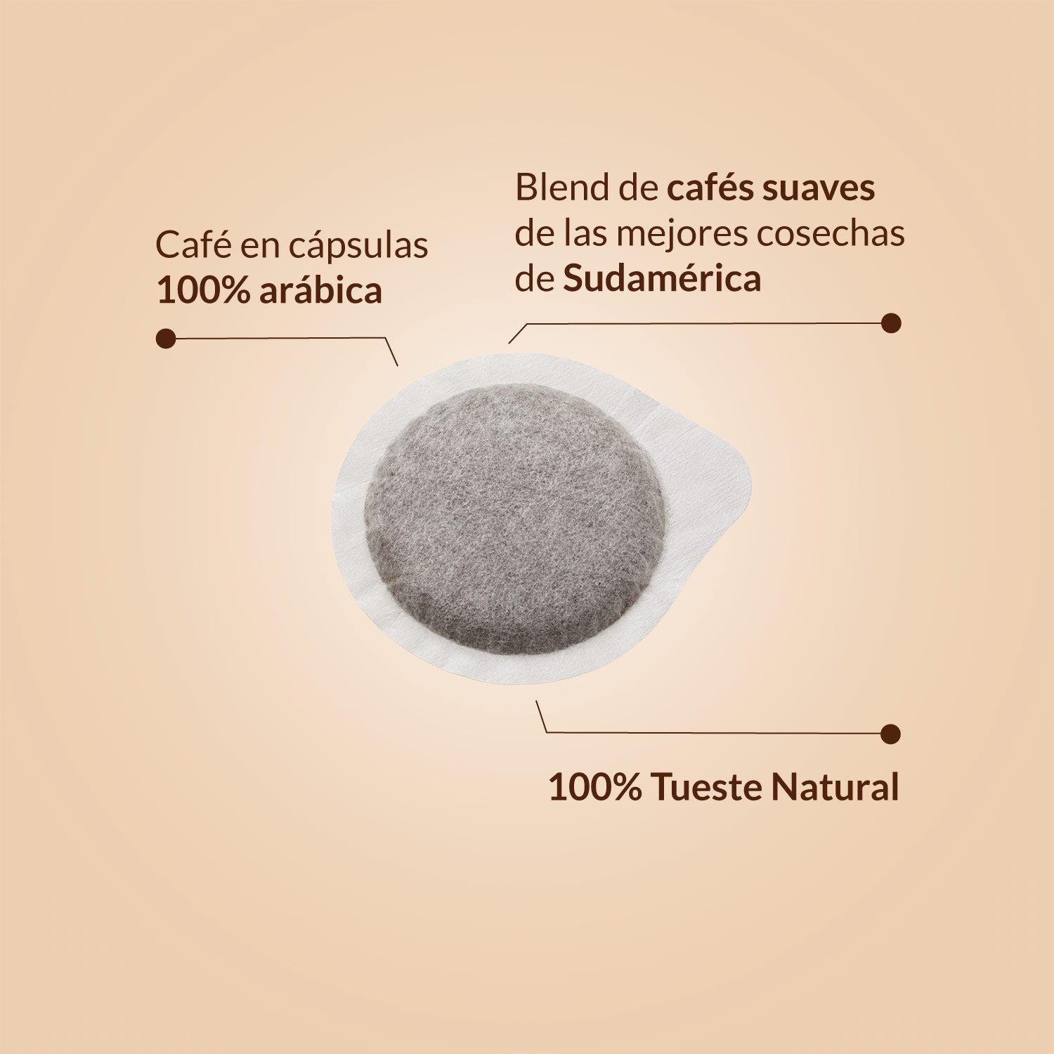 Cápsulas Black Blend Natural Espresso Point 100 uds