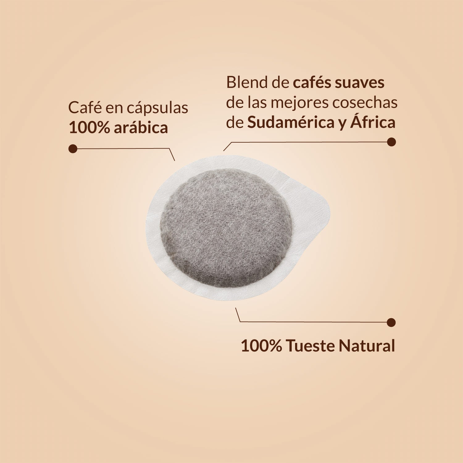 Cápsulas Blend Natural Espresso Point 100 uds