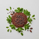 Roiboos Orgánico de Cacao y Menta 15 uds