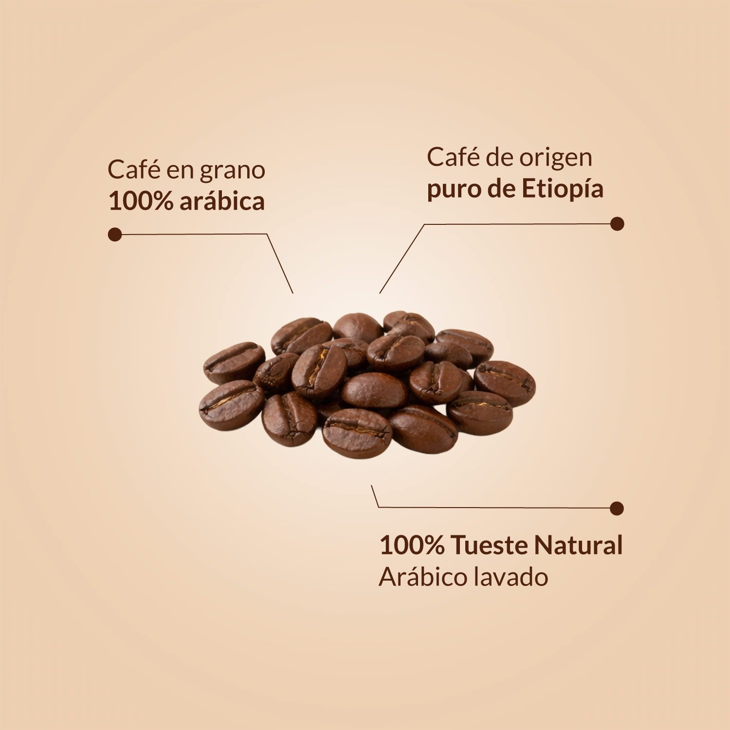 Café de Etiopía 100% Arábica 1kg grano